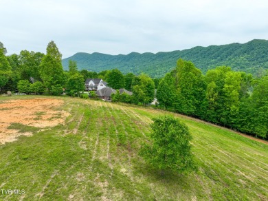 Welcome to your dream property in Gate City, VA! This 18+ acres on Scott County Park and Golf Course in Virginia - for sale on GolfHomes.com, golf home, golf lot