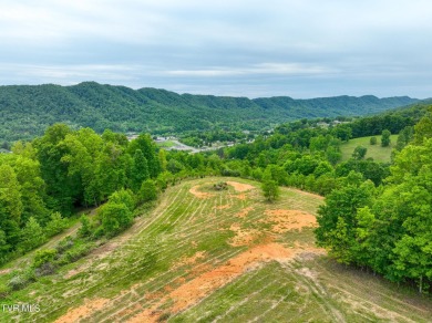 Welcome to your dream property in Gate City, VA! This 18+ acres on Scott County Park and Golf Course in Virginia - for sale on GolfHomes.com, golf home, golf lot