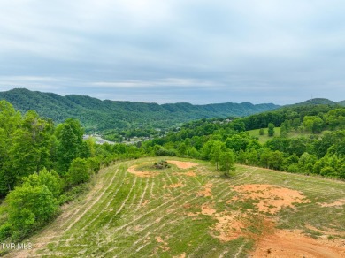 Welcome to your dream property in Gate City, VA! This 18+ acres on Scott County Park and Golf Course in Virginia - for sale on GolfHomes.com, golf home, golf lot