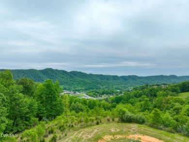 Welcome to your dream property in Gate City, VA! This 18+ acres on Scott County Park and Golf Course in Virginia - for sale on GolfHomes.com, golf home, golf lot