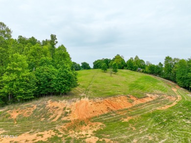 Welcome to your dream property in Gate City, VA! This 18+ acres on Scott County Park and Golf Course in Virginia - for sale on GolfHomes.com, golf home, golf lot