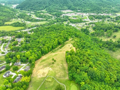 Welcome to your dream property in Gate City, VA! This 18+ acres on Scott County Park and Golf Course in Virginia - for sale on GolfHomes.com, golf home, golf lot