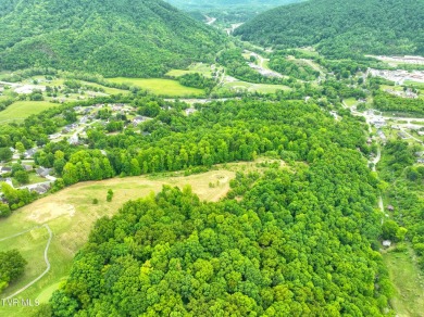 Welcome to your dream property in Gate City, VA! This 18+ acres on Scott County Park and Golf Course in Virginia - for sale on GolfHomes.com, golf home, golf lot