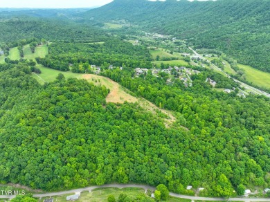 Welcome to your dream property in Gate City, VA! This 18+ acres on Scott County Park and Golf Course in Virginia - for sale on GolfHomes.com, golf home, golf lot