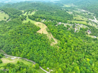 Welcome to your dream property in Gate City, VA! This 18+ acres on Scott County Park and Golf Course in Virginia - for sale on GolfHomes.com, golf home, golf lot