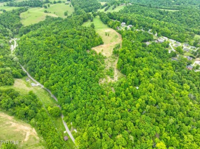 Welcome to your dream property in Gate City, VA! This 18+ acres on Scott County Park and Golf Course in Virginia - for sale on GolfHomes.com, golf home, golf lot