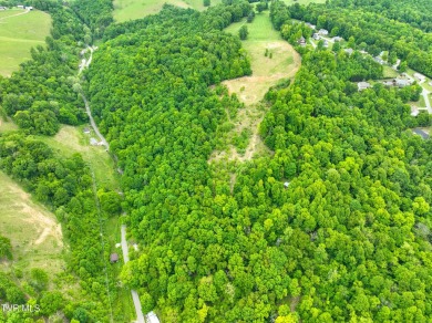 Welcome to your dream property in Gate City, VA! This 18+ acres on Scott County Park and Golf Course in Virginia - for sale on GolfHomes.com, golf home, golf lot