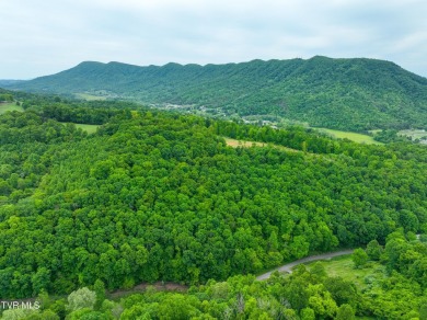 Welcome to your dream property in Gate City, VA! This 18+ acres on Scott County Park and Golf Course in Virginia - for sale on GolfHomes.com, golf home, golf lot