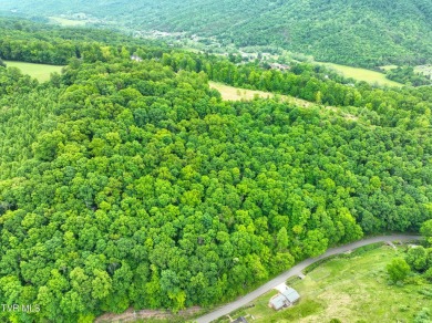 Welcome to your dream property in Gate City, VA! This 18+ acres on Scott County Park and Golf Course in Virginia - for sale on GolfHomes.com, golf home, golf lot