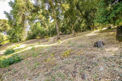 Extremely Rare Opportunity to live in one of six homes in this on Castlewood Country Club in California - for sale on GolfHomes.com, golf home, golf lot