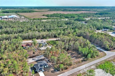 Exclusively presented by Sunland Real Estate: This is an on Mirror Lakes Golf Club in Florida - for sale on GolfHomes.com, golf home, golf lot