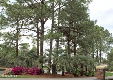 Exceptional Sandpiper Bay Golf Course living and the beauty of on Sandpiper Bay Golf and Country Club in North Carolina - for sale on GolfHomes.com, golf home, golf lot