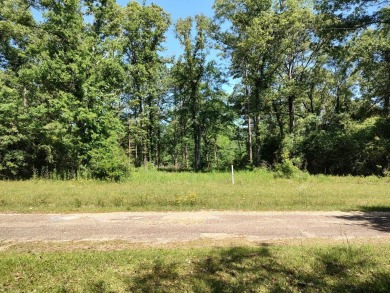 Lake Hillsdale lot, partially cleared sits on 0.465 boasting on The Kings Arrow Ranch in Mississippi - for sale on GolfHomes.com, golf home, golf lot