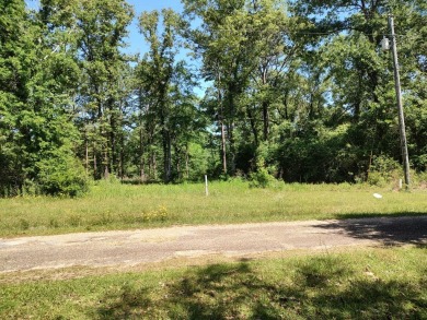 Lake Hillsdale lot, partially cleared sits on 0.465 boasting on The Kings Arrow Ranch in Mississippi - for sale on GolfHomes.com, golf home, golf lot