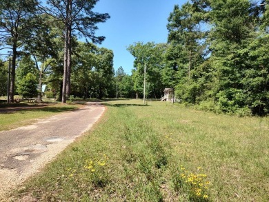 Lake Hillsdale lot, partially cleared sits on 0.465 boasting on The Kings Arrow Ranch in Mississippi - for sale on GolfHomes.com, golf home, golf lot