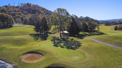 Norris Lake access/deeded boat slip AND golfing at Woodlake Golf on Woodlake Golf Club in Tennessee - for sale on GolfHomes.com, golf home, golf lot