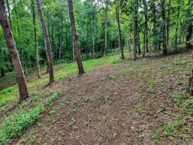ESTATE OR COMPOUMD READY! 9.64 ACRES GATED PRIVACY OVERLOOKING on Old Union Golf Course in Georgia - for sale on GolfHomes.com, golf home, golf lot