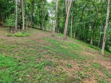 ESTATE OR COMPOUMD READY! 9.64 ACRES GATED PRIVACY OVERLOOKING on Old Union Golf Course in Georgia - for sale on GolfHomes.com, golf home, golf lot