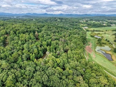 ESTATE OR COMPOUMD READY! 9.64 ACRES GATED PRIVACY OVERLOOKING on Old Union Golf Course in Georgia - for sale on GolfHomes.com, golf home, golf lot