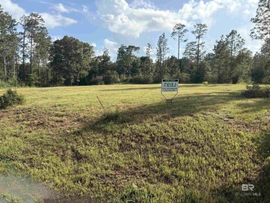 Cleared and ready for your new home!  This lot is over an acre on Steelwood Country Club in Alabama - for sale on GolfHomes.com, golf home, golf lot