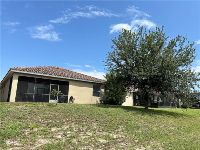 Enjoy the good life in a relaxing golf community close to Disney on Providence Golf Club in Florida - for sale on GolfHomes.com, golf home, golf lot