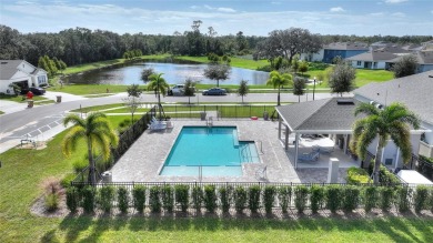 *This home can be purchased with NO MONEY DOWN with preferred on Providence Golf Club in Florida - for sale on GolfHomes.com, golf home, golf lot