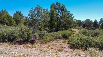 This half-acre lot is waiting for you to build your dream home on Talking Rock Golf Club in Arizona - for sale on GolfHomes.com, golf home, golf lot