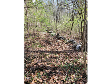 This beautiful 2 acre parcel is ready for a new owner who is on Black Creek Club in Tennessee - for sale on GolfHomes.com, golf home, golf lot