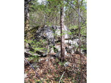 This beautiful 2 acre parcel is ready for a new owner who is on Black Creek Club in Tennessee - for sale on GolfHomes.com, golf home, golf lot
