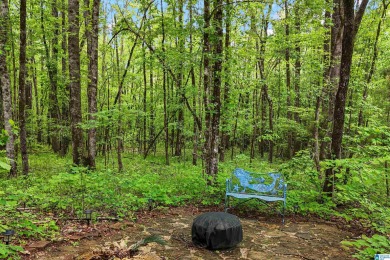 Reduced to $399,000!!! Way under the value of this amazing on Timberline Golf Club in Alabama - for sale on GolfHomes.com, golf home, golf lot