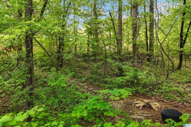 Reduced to $399,000!!! Way under the value of this amazing on Timberline Golf Club in Alabama - for sale on GolfHomes.com, golf home, golf lot