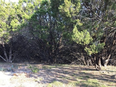 Great corner lot.  Enjoy peace & tranquility of living in 24-7 on White Bluff Resort - Old Course in Texas - for sale on GolfHomes.com, golf home, golf lot