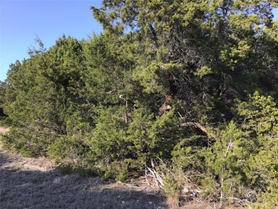 Great corner lot.  Enjoy peace & tranquility of living in 24-7 on White Bluff Resort - Old Course in Texas - for sale on GolfHomes.com, golf home, golf lot