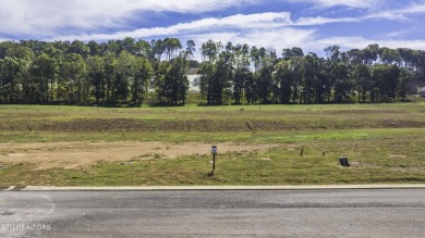 Discover the unparalleled charm of the Tennessee National Lake on Tennessee National Golf Club in Tennessee - for sale on GolfHomes.com, golf home, golf lot