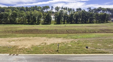 Discover the unparalleled charm of the Tennessee National Lake on Tennessee National Golf Club in Tennessee - for sale on GolfHomes.com, golf home, golf lot