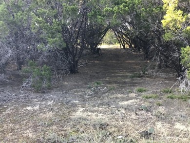 Great corner lot.  Enjoy peace & tranquility of living in 24-7 on White Bluff Resort - Old Course in Texas - for sale on GolfHomes.com, golf home, golf lot