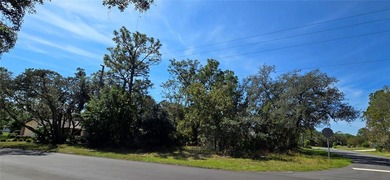 Build your dream home!! Nestled in the desirable Sugarmill Woods on Sugarmill Woods Golf and Country Club in Florida - for sale on GolfHomes.com, golf home, golf lot