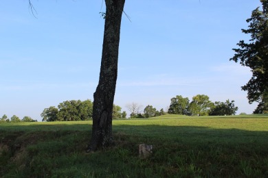 Tee Time is less than 5 minutes from your front door.  This on Holiday Hills Resort and Golf in Missouri - for sale on GolfHomes.com, golf home, golf lot
