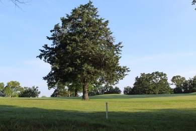 Tee Time is less than 5 minutes from your front door.  This on Holiday Hills Resort and Golf in Missouri - for sale on GolfHomes.com, golf home, golf lot