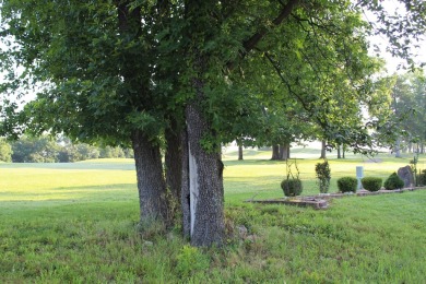 Tee Time is less than 5 minutes from your front door.  This on Holiday Hills Resort and Golf in Missouri - for sale on GolfHomes.com, golf home, golf lot