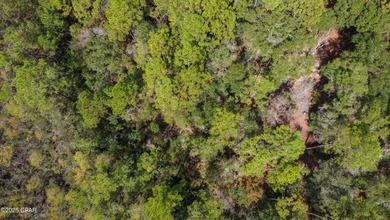 Welcome to 2724 Muir Lane - a serene slice of Northwest Florida on Dogwood Lakes Golf Club in Florida - for sale on GolfHomes.com, golf home, golf lot