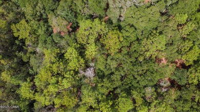 Welcome to 2724 Muir Lane - a serene slice of Northwest Florida on Dogwood Lakes Golf Club in Florida - for sale on GolfHomes.com, golf home, golf lot