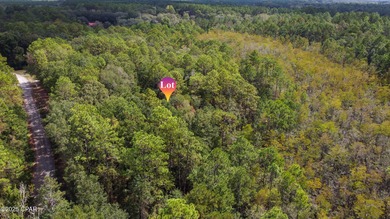 Welcome to 2724 Muir Lane - a serene slice of Northwest Florida on Dogwood Lakes Golf Club in Florida - for sale on GolfHomes.com, golf home, golf lot