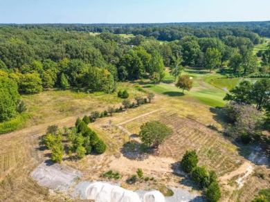 Overlooking the Spring Creek Golf Course, this stunning 1 on Spring Creek Ranch in Tennessee - for sale on GolfHomes.com, golf home, golf lot