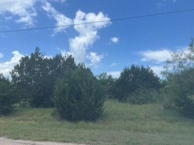 LEVEL LOT WITH MANY TREES IN BEAUTIFUL WHITE BLUFF RESORT ON on White Bluff Resort - New Course in Texas - for sale on GolfHomes.com, golf home, golf lot