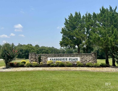 The Carnoustie Place lot you've been waiting for, backing up to on Glenlakes Golf Club in Alabama - for sale on GolfHomes.com, golf home, golf lot