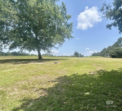 The Carnoustie Place lot you've been waiting for, backing up to on Glenlakes Golf Club in Alabama - for sale on GolfHomes.com, golf home, golf lot