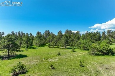 Description Remarks:    
3.5 acres treed lot located on the on Flying Horse North Golf Course in Colorado - for sale on GolfHomes.com, golf home, golf lot