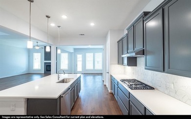 Open Concept ! The Santa Barbara's open concept layout has it on Heath Golf and Yacht Club in Texas - for sale on GolfHomes.com, golf home, golf lot