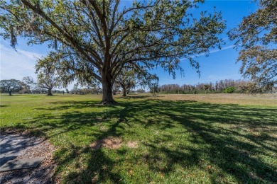 This home has been well maintained by the owner.  This charming on Falcon Watch Golf Club in Florida - for sale on GolfHomes.com, golf home, golf lot